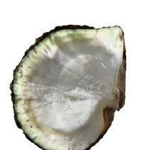 Omc 1989.010.003 (1) Edited